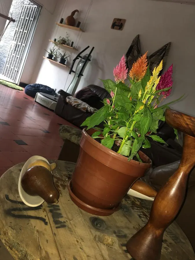 Natural House Hostel Medellin